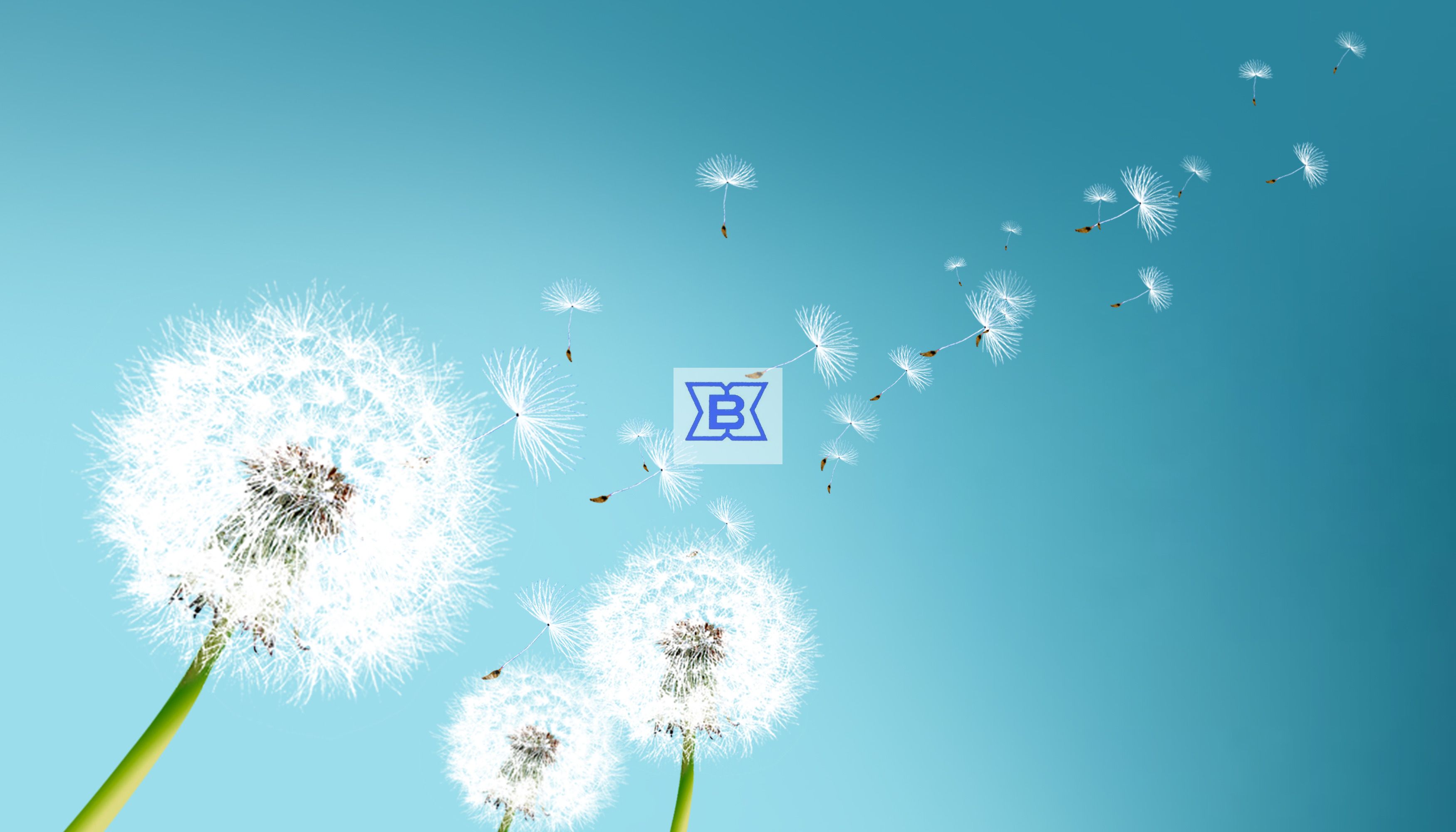 5357cc拉斯维加斯(中国)有限公司官网